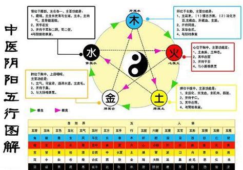 金生水 五行|如何理解中医五行中的金生水？